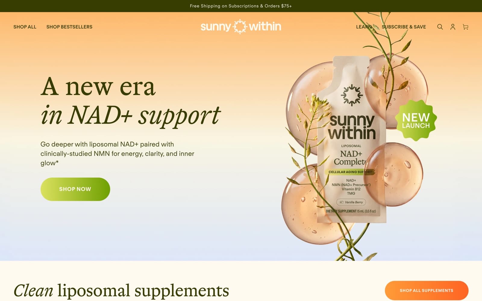 SUNNY WITHIN live storefront homepage